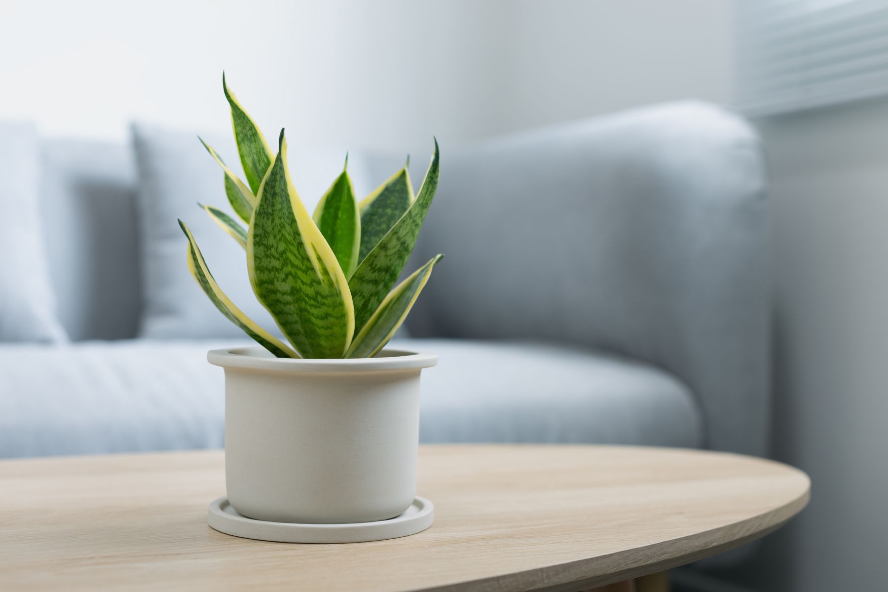 Air Purifier Installation